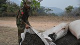 TNLA ရဲ့တားမြစ်မိန့်ကြောင့် လက်ဖက်လုပ်ငန်းရှင်တွေအခက်တွေ့