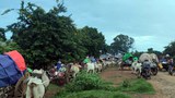 ကျွန်းလှမြို့နယ် ထန်းပင်ကုန်းရွာက ဒေသခံနှစ်ဦး ပစ်သတ်ခံရ
