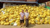 ဖားကန့်မှာ KIO အုပ်ချုပ်ရေးအရာရှိနှစ်ဦး ဖမ်းဆီးခံရ