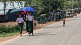 မြောက်ဦးနဲ့ သံတွဲက အရပ်သားနှစ်ဦး PDF စွပ်စွဲချက်နဲ့ အဖမ်းခံထားရ