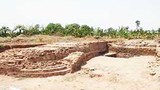 pyu-305.jpg