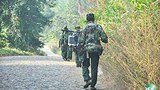 govt-army-620.jpg