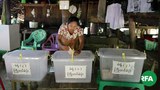 rathedaung-by-election-2018-622.JPG