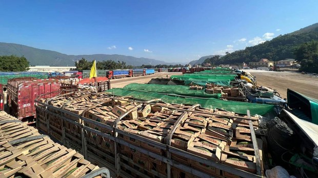 နယ်စပ်ဂိတ်တွေမှာ အချိန်ကြန့်ကြာနေလို့ ဖရဲသီးတွေ ပျက်စီး
