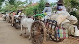 ရေဦးမြို့ ရွာသုံးရွာက ဒေသခံ ငါးရာကျော် ထွက်ပြေးနေရ