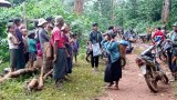 ရေတာရှည်မှာ လေကြောင်းတိုက်ခိုက်မှုကြောင့် လူတစ်ထောင်နီးပါး ထွက်ပြေး