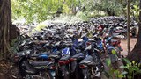 cycle-620.jpg