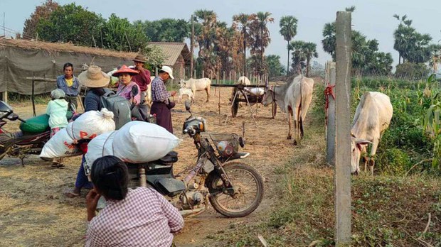 ယင်းမာပင်မှာ စစ်တပ်က ရွာထဲကို ဝင်ရောက်ပစ်ခတ်လို့ ဒေသခံတစ်ဦး သေဆုံး ယင်းမာပင်မှာ စစ်တပ်က ရွာထဲကို ဝင်ရောက်ပစ်ခတ်လို့ ဒေသခံတစ်ဦး သေဆုံး