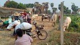 ယင်းမာပင်မှာ စစ်တပ်က ရွာထဲကို ဝင်ရောက်ပစ်ခတ်လို့ ဒေသခံတစ်ဦး သေဆုံး