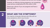 zika-virus-620.jpg