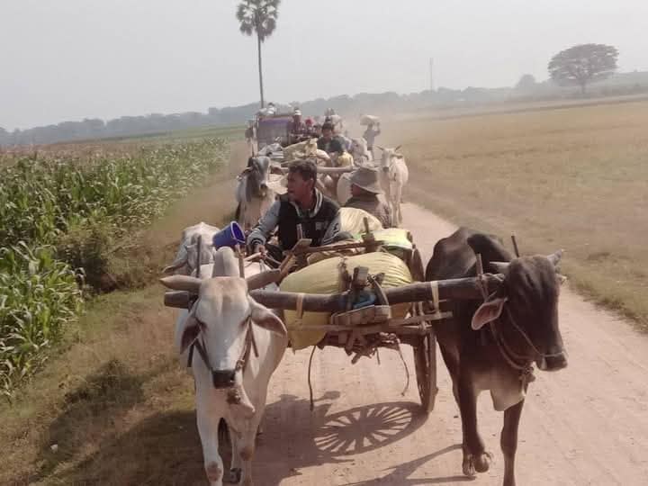 ရေစကြိုမြို့နယ်၊ ရေလယ်ကျွန်းဒေသမှ စစ်ဘေးဒုက္ခသည်များအား ၂၀၂၅ ခုနှစ်၊ မတ်လ ၆ ရက်နေ့က တွေ့ရစဉ်။ (ရေစကြို သတင်းပေါင်းစုံ မီဒီယာ ဓာတ်ပုံ)