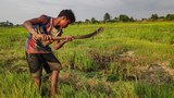 ကလေး လုပ်သားများလာသလို ခေါင်းပုံဖြတ်ခံရမှုများနေ