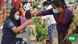 lashio-mask-622.jpg