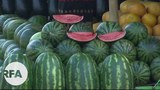 watermelon-622.jpg