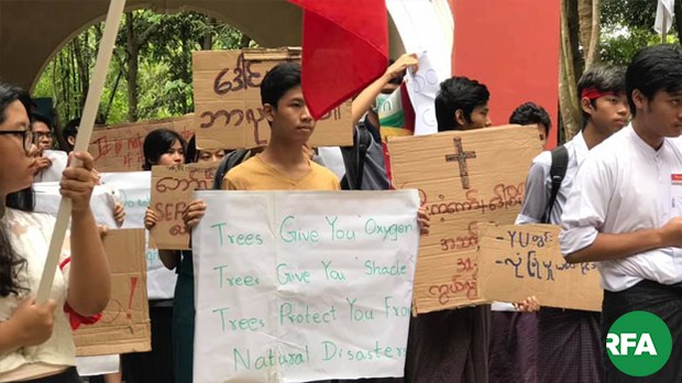 students-protest-for-tree-622 students-protest-for-tree-622