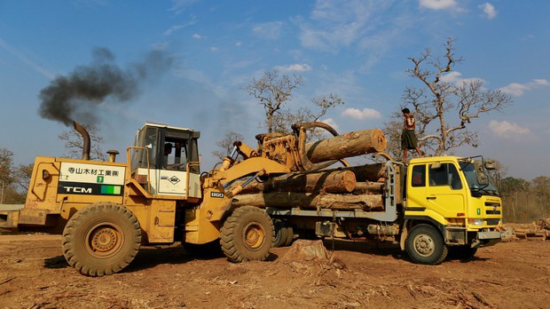 သစ်နဲ့ သယံဇာတ အလွန်အကျွံထုတ်ယူမှုကြောင့် သစ်တောပြုန်းတီးမှုများလာ သစ်နဲ့ သယံဇာတ အလွန်အကျွံထုတ်ယူမှုကြောင့် သစ်တောပြုန်းတီးမှုများလာ