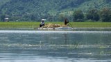 စိုက်ပျိုးမြေဧက သိန်းနဲ့ချီ ပျက်စီးတဲ့အတွက် ဆန်အိတ်ပေါင်း သန်းနဲ့ချီ လျော့နိုင်