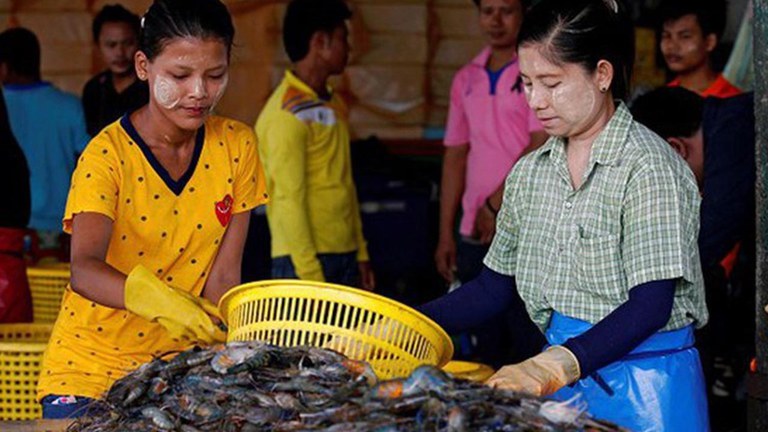 ထိုင်းနိုင်ငံက ရေထွက်ပစ္စည်းလက်ကားဒိုင်တစ်ခုတွင် အလုပ်လုပ်နေကြသော မြန်မာရွှေ့ပြောင်းအလုပ်သမားများကို ၂ဝ၁၈ ခုနှစ်က တွေ့ရစဥ်။ (AFP Photo)