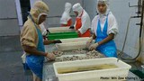 china-human-trafficking-622.jpg