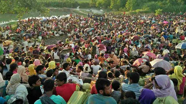 bengali-flee-622.jpg bengali-flee-622.jpg
