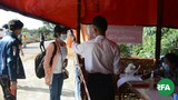 kayah-corona-check-622.jpg