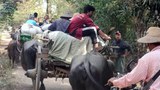 စစ်ကြောင်းထိုး မီးရှို့လို့ မြောင်နဲ့ ရေစကြိုက လူတစ်သောင်းကျော် ထွက်ပြေးရ