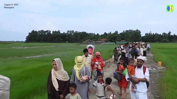 မောင်တောတိုက်ပွဲကြောင့် ဒီနေ့အထိ ရိုဟင်ဂျာတွေ ထွက်ပြေးနေရဆဲ မောင်တောတိုက်ပွဲကြောင့် ဒီနေ့အထိ ရိုဟင်ဂျာတွေ ထွက်ပြေးနေရဆဲ
