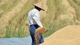 farmer-622.jpg