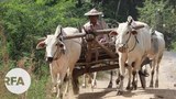 farmers-622.jpg