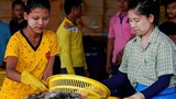 မြန်မာအလုပ်သမားတွေကို ပြန်ခေါ်ဖို့ ထိုင်းနိုင်ငံ စီစဉ်နေ