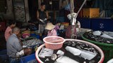 myn-migrant-workers-thai-622.jpg