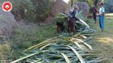 မီးဘေးသင့် ဒေသခံတွေအတွက် ထန်းတဲအလှူ