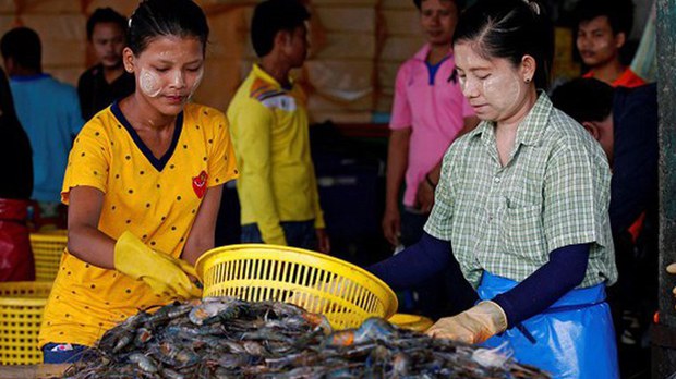 ထိုင်းရောက်မြန်မာတွေအတွက် ပန်းရောင်ကတ်ကို ပုံစံနှစ်မျိုးခွင့်ပြုပေးဖို့ တောင်းဆို ထိုင်းရောက်မြန်မာတွေအတွက် ပန်းရောင်ကတ်ကို ပုံစံနှစ်မျိုးခွင့်ပြုပေးဖို့ တောင်းဆို