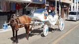 ခရီးသွားမြို့တော် ပြင်ဦးလွင်ရဲ့ ကပ်ရောဂါကာလ အခြေအနေ