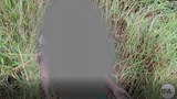 dead-body-622