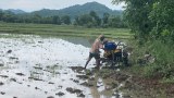 တိုက်ပွဲတွေကြောင့် ရခိုင်က တောင်သူတွေ မိုးစပါး မစိုက်ပျိုးနိုင်