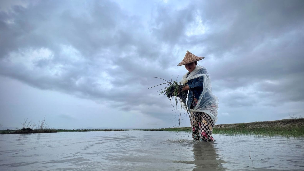 ရခိုင်ပြည်နယ် ရသေ့တောင်မြို့နယ်မှ ကောက်စိုက်သမတစ်ဦးအား ၂၀၂၃ ခုနှစ် ဇွန်လ ၂၂ ရက်နေ့ တွေ့ရစဉ်။ (Photo: RFA)