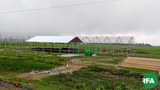 rakhine-refugees-camp-622.jpg