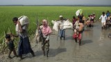 rohingya-622.jpg