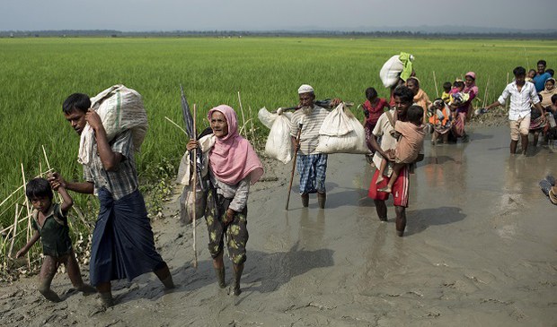 rohingya-622.jpg