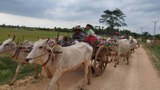 ဆားတောင်မြို့နယ်က ဒေသခံတစ်သောင်းကျော် နေရပ်စွန့်ခွာထွက်ပြေးနေရ
