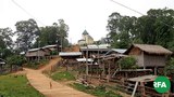 shartaw-kayah-622.jpg
