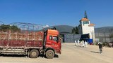 ဒေါ်လာကန့်သတ်ချက် မူဝါဒကြောင့် တရုတ်နယ်စပ်ကုန်သည်တွေ အခက်တွေ့