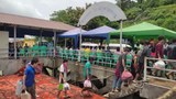 ထိုင်းကပြန်ပို့တဲ့ မြန်မာလူငယ်တွေ စစ်မှုထမ်းဖို့ အကျပ်ကိုင်ဖမ်းဆီးခံနေရ