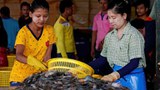 ထိုင်းရောက် တရားဝင်မြန်မာရွှေ့ပြောင်းလုပ်သားတွေ အခွင့်အရေးချိုးဖောက်ခံနေရ