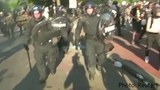 usa-protest-622.jpg