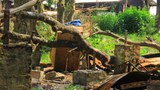rakhine_burned_305