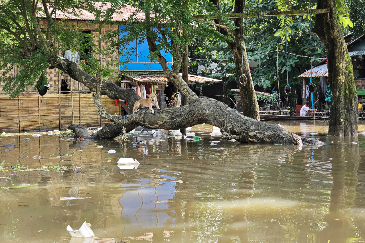 ပဲခူးမြစ်ရေလျှံပြီး ပဲခူးမြို့ပေါ် ရပ်ကွက်တချို့ ရေကြီးရေလျှံမှုဖြစ်ပေါ်နေသည်ကို ၂၀၂၃ ခုနှစ်၊ သြဂုတ်လ ၁၃ ရက်‌နေ့က တွေ့ရစဉ်။ (Photo: RFA)