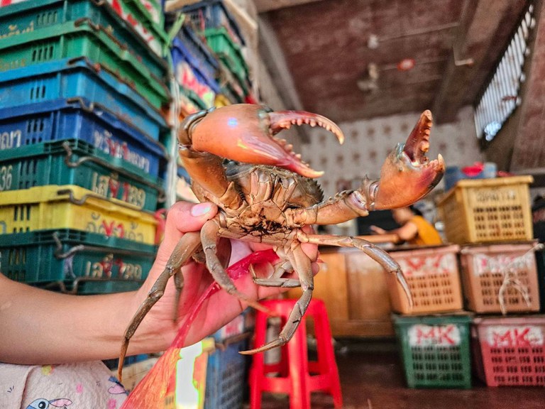 လပွတ္တာမြို့မှ ကဏန်းအဝယ်ဒိုင်များအား ၂၀၂၄ခုနှစ်၊ ဧပြီလ ၄ ရက်နေ့က တွေ့ရစဉ်။ (Photo: RFA)