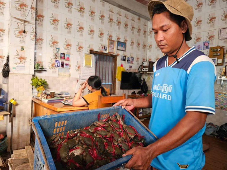 လပွတ္တာမြို့မှ ကဏန်းအဝယ်ဒိုင်များအား ၂၀၂၄ခုနှစ်၊ ဧပြီလ ၄ ရက်နေ့က တွေ့ရစဉ်။ (Photo: RFA)